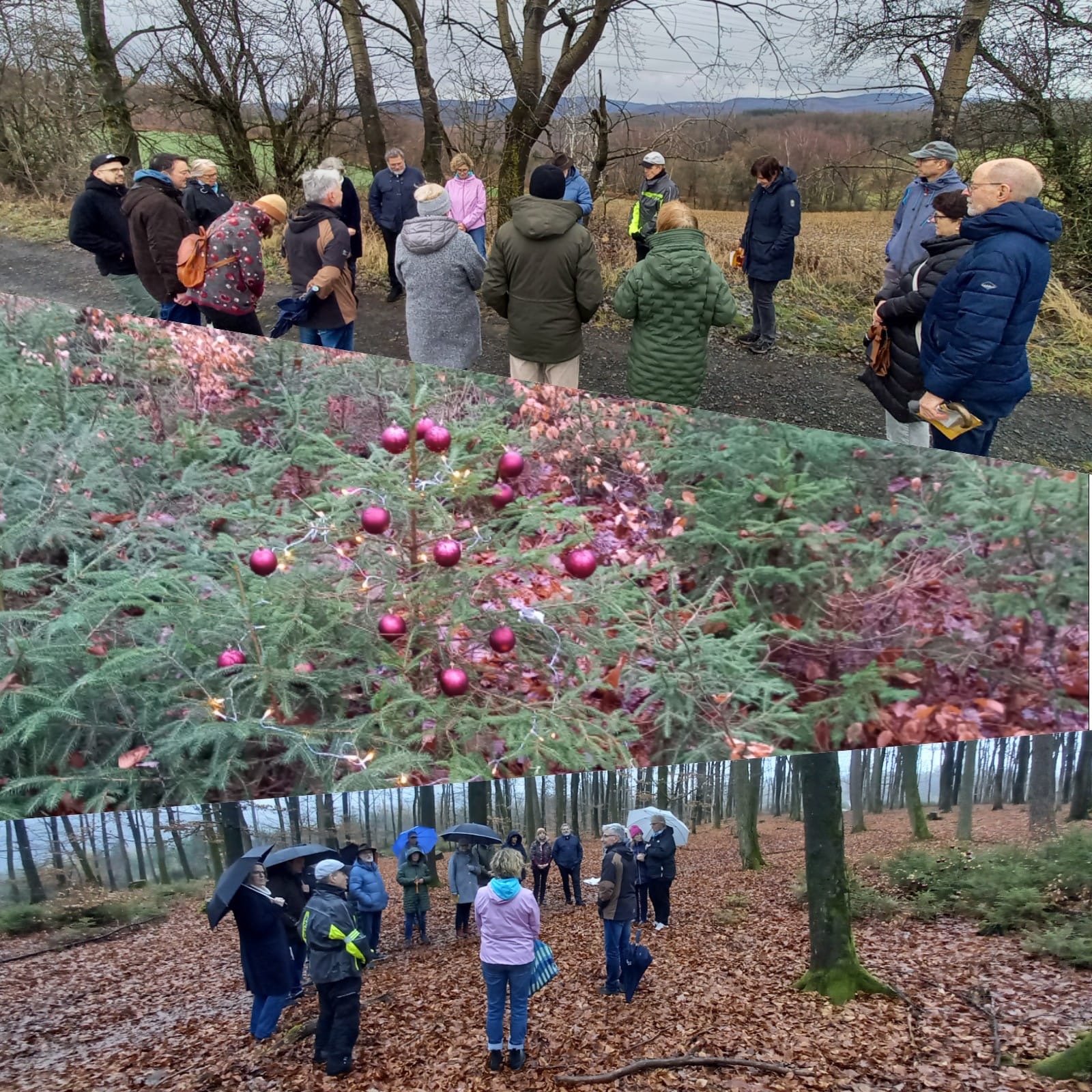 Wir feiern Waldweihnacht 2025